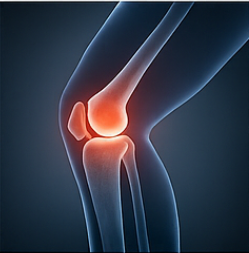 콘드로이친1200mg