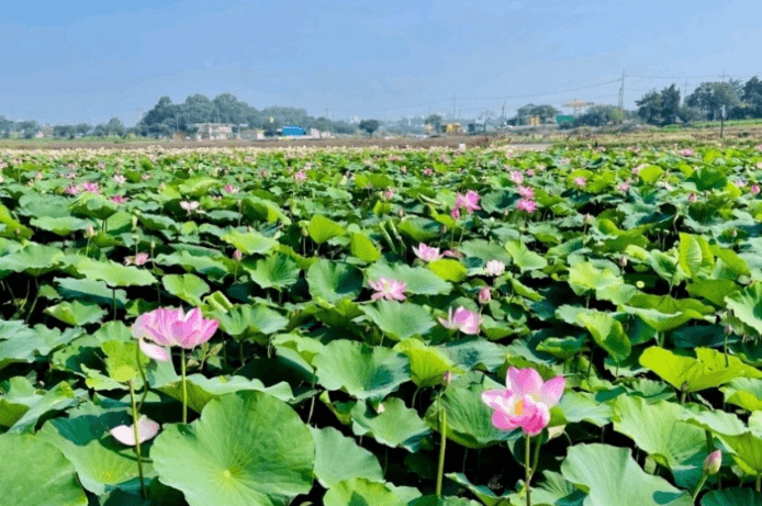 합덕수리민속박물관