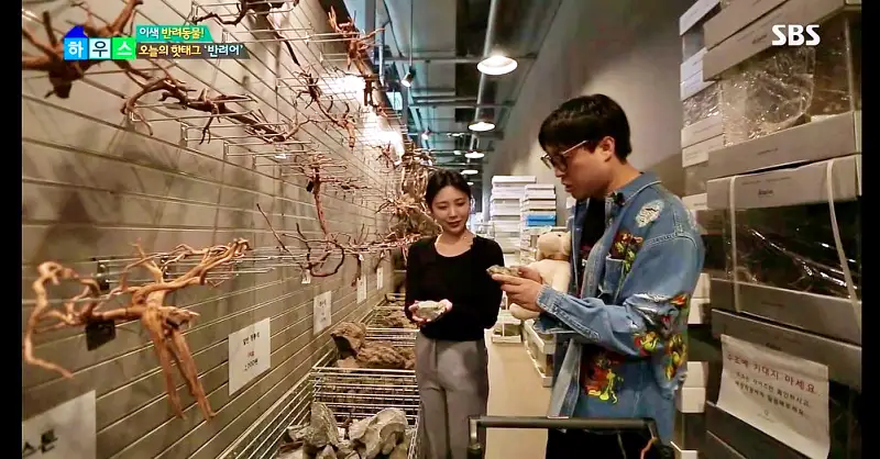 신랑수업 박태환 모태범 소개 물멍 수족관카페 수경예술작가 자만추 아쿠아 가든 카페 용인 기흥 커피 맛집 추천 오늘방송 정보