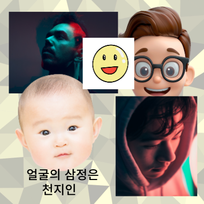 삼정사패 숫자학