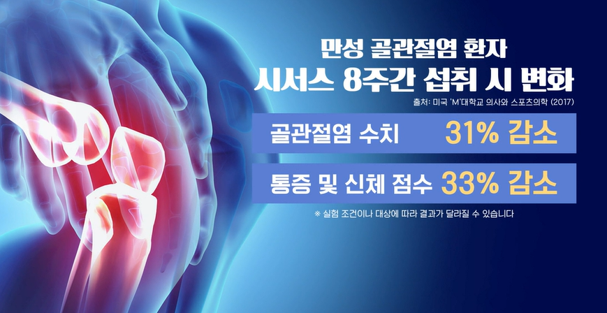 시서스 효능