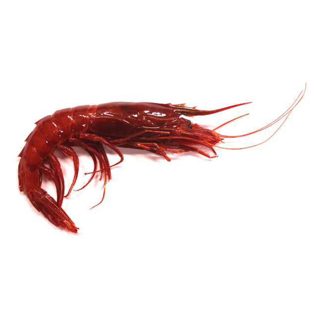 새우 효능 및 부작용