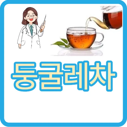 둥글레차 효능 둥굴레차 효과 둥글레차 물대신 둥굴레차 만드는법
