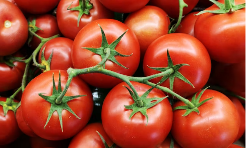 토마토를 먹는 여러가지 방법