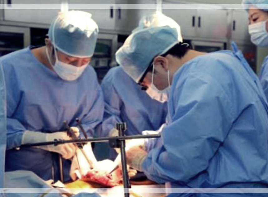 간이식 기증자 조건 간이식 조건 나이 검사 부작용 회복기간