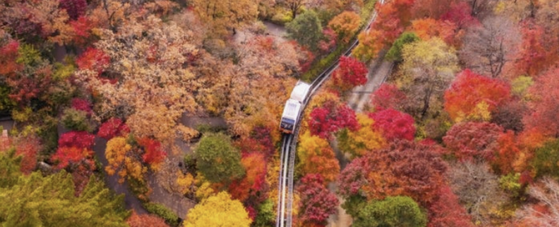 화담숲 예약하기 홈페이지 입장료 주변 맛집 모노레일 단풍 절정시기 꿀팁