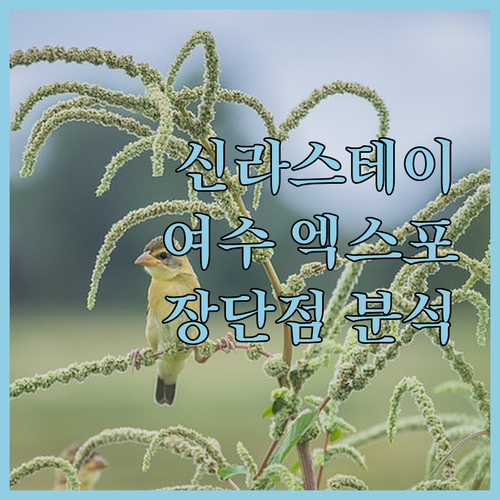 신라스테이 여수 엑스포역, 왜 다들 