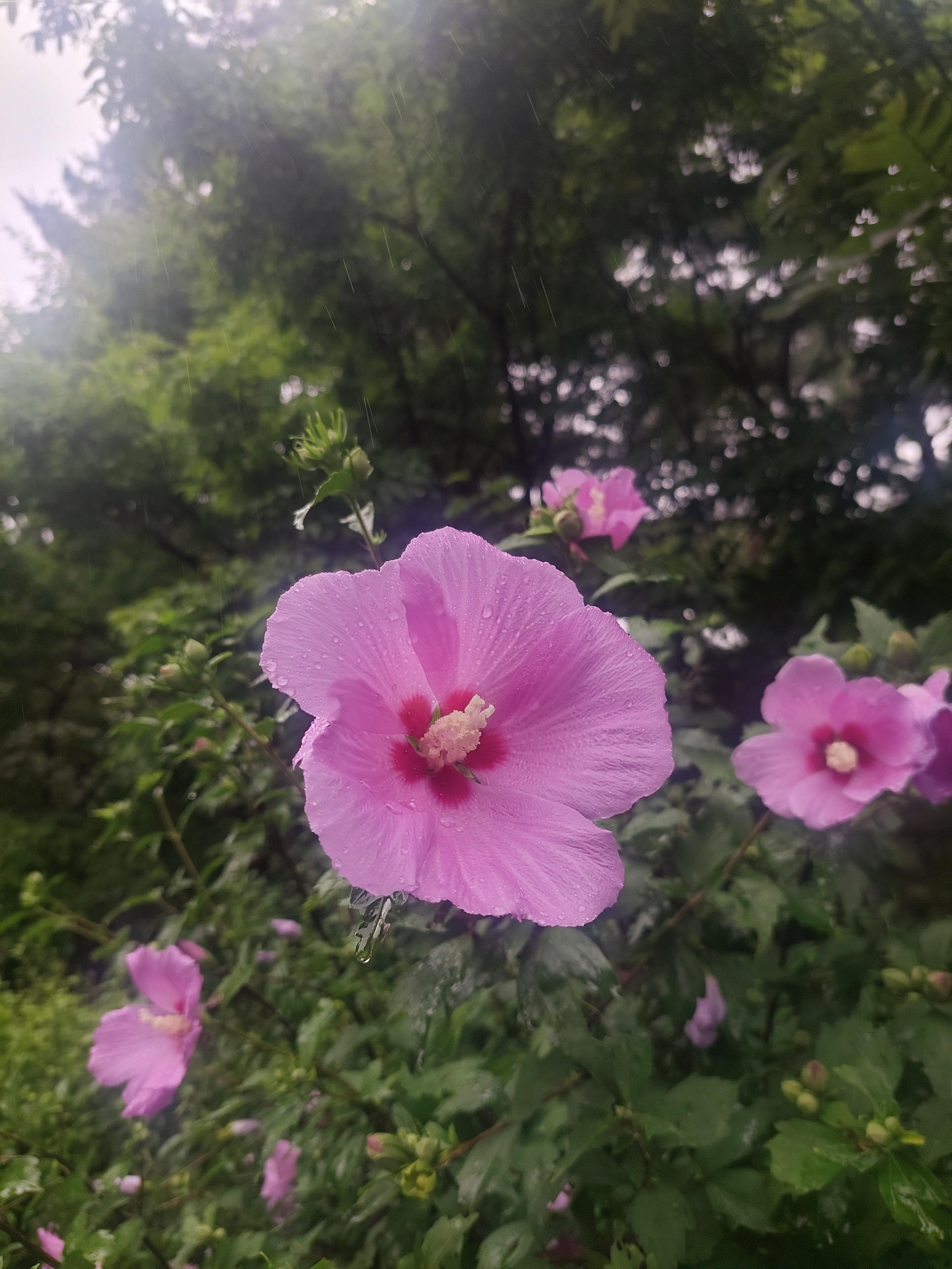 남산매봉산