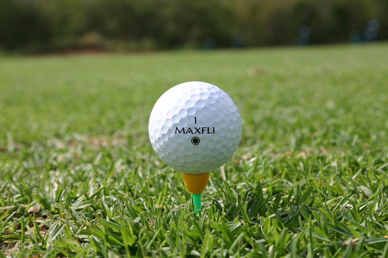 2025년 골프 초보 필독! 타수 줄이는 핵심 방법관련 사진