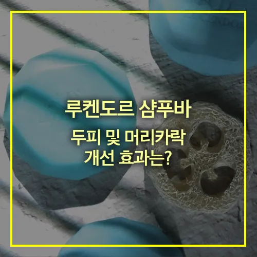 루켄도르 샴푸바 두피 머리카락 개선 효과