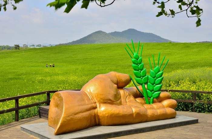 고창 청보리밭 축제 (출처:한국관광공사)