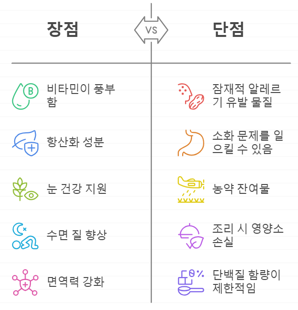 상추 비교