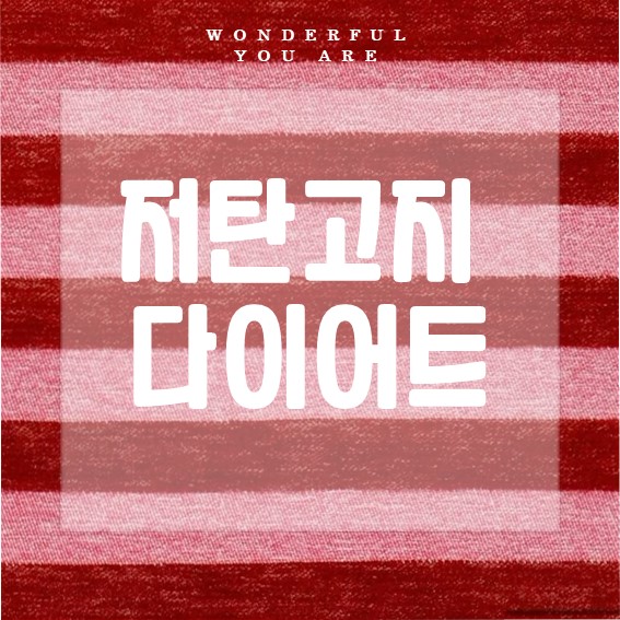 저탄고지 다이어트 맛있게 실천하는 무니키친 레시피와 꿀팁