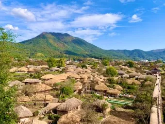 순천 가볼만한곳 베스트10 순천만 갈대밭 숨겨진 명소_6