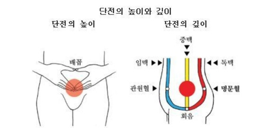 인체의 365혈 중에서 왼쪽에는 단전의 위치를 그린 그림과 오른쪽에는 단전의 깊이를 그린 그림 사진