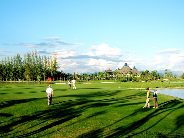 골프를 즐기는 사람들