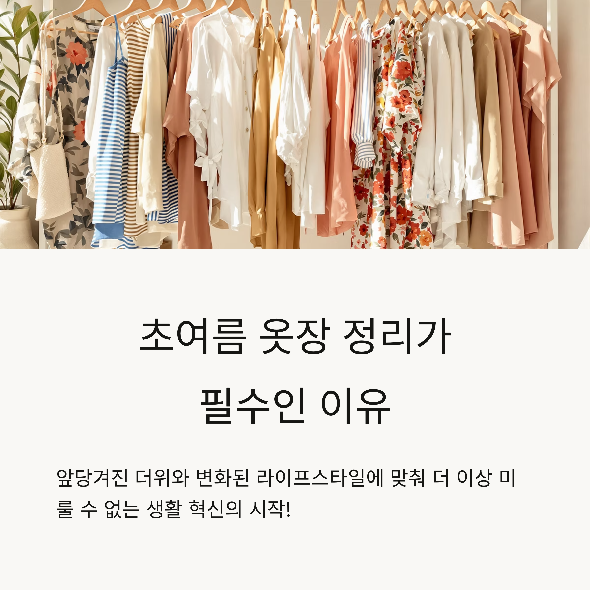 옷장을 정리
