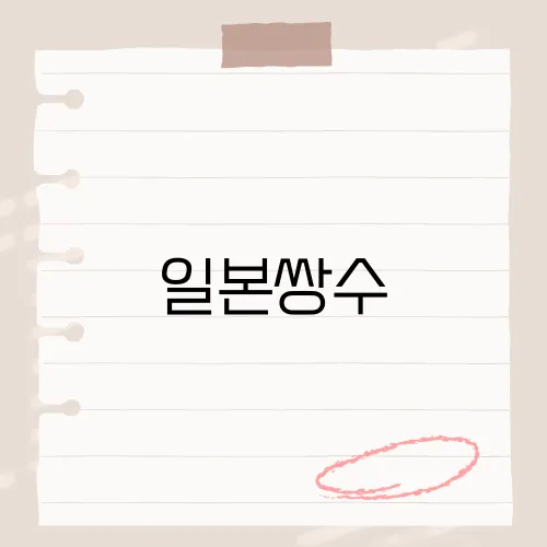 일본쌍수, 99만원실화?