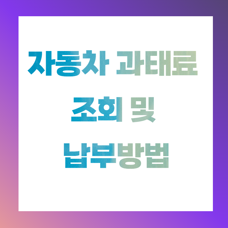 자동차 과태료 조회및 납부 방법