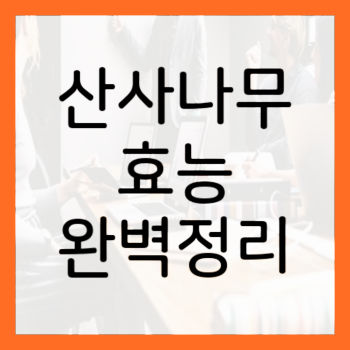 산사나무-열매-효능-썸네일