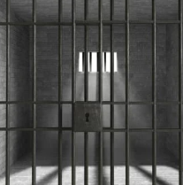 금고형이란? 뜻 알아보기