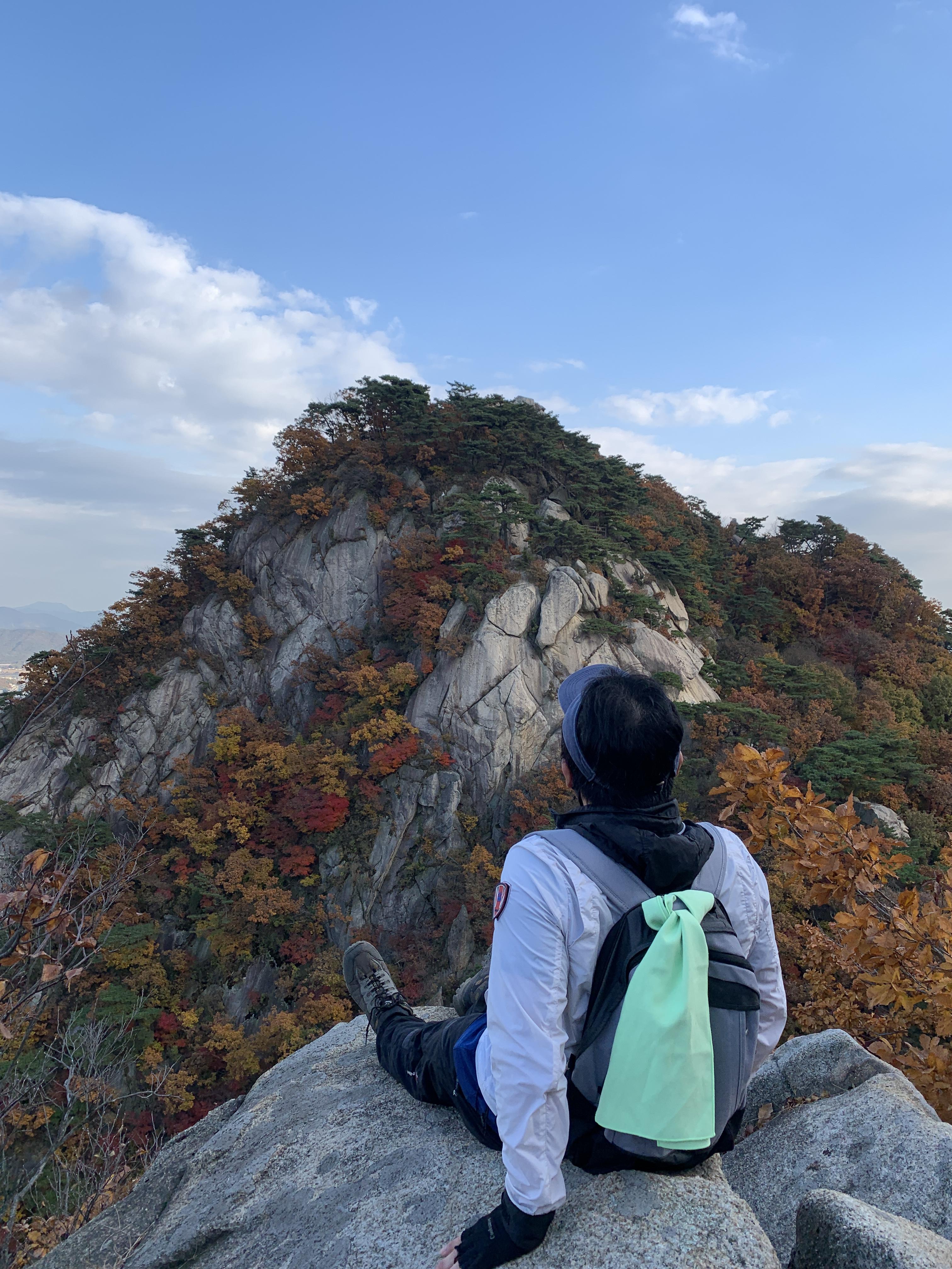 사진