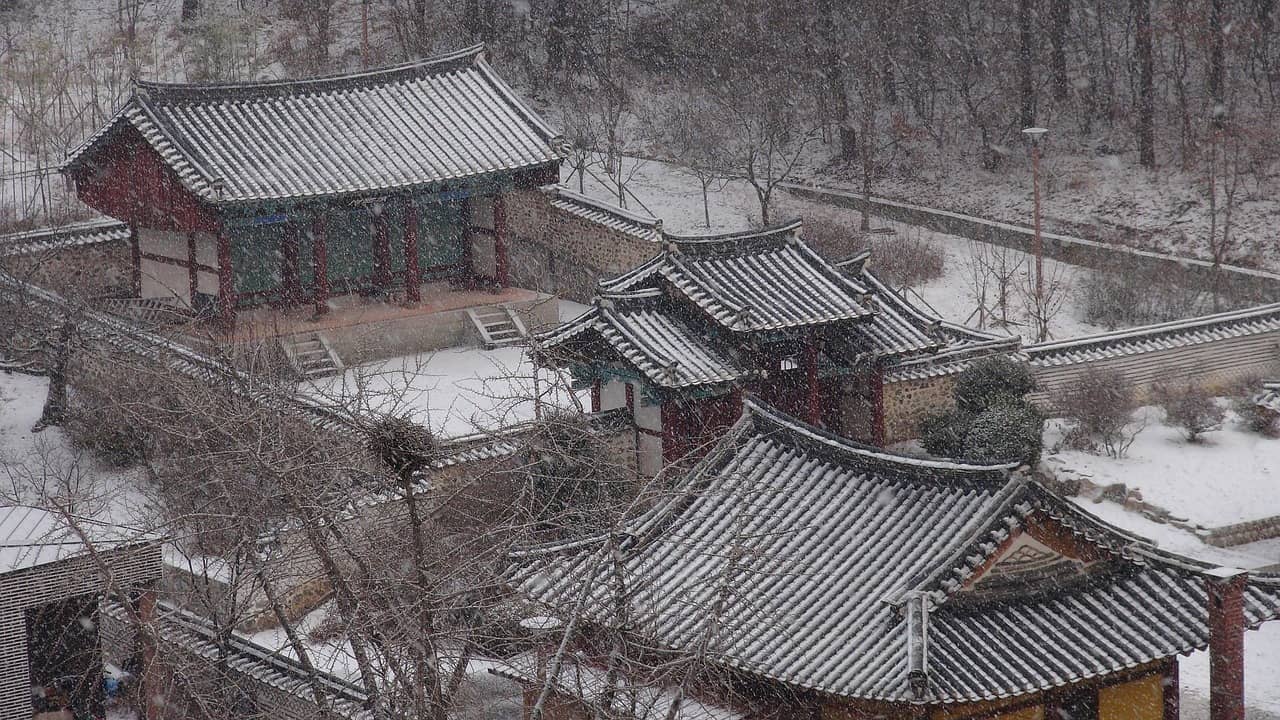 조선시대 도시 위생 관리 방법 한양은 어떻게 깨끗함을 유지했을까