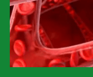 심혈관질환예방