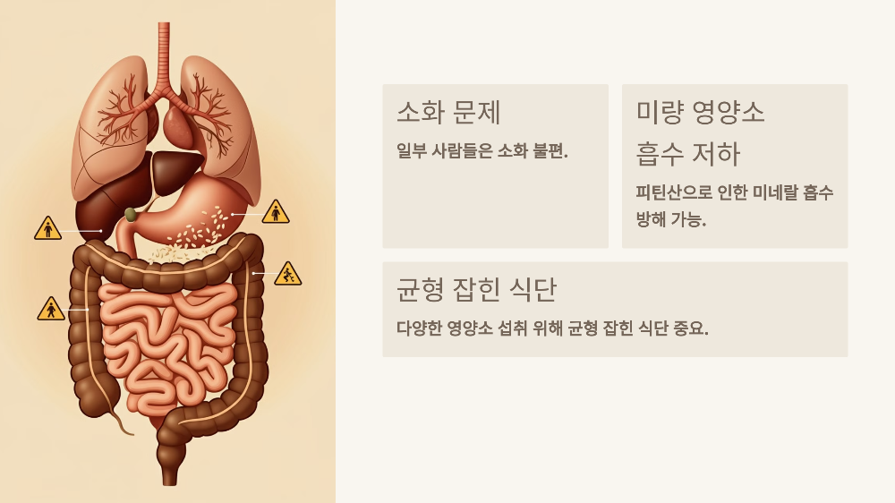 부작용 및 주의사항