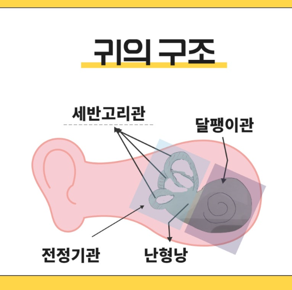 이석증 재발 막는 법