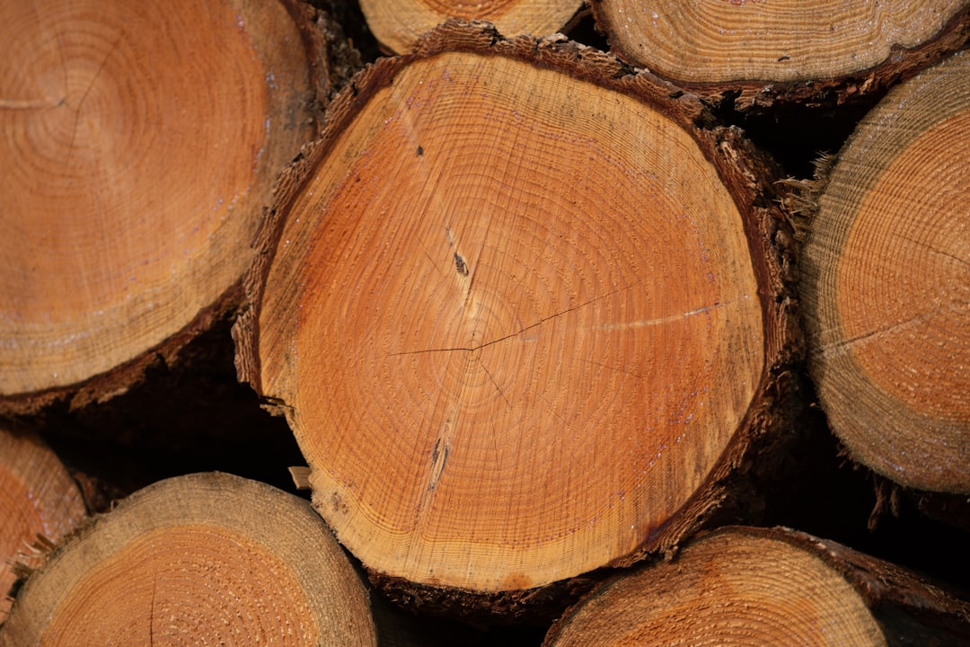Forestry