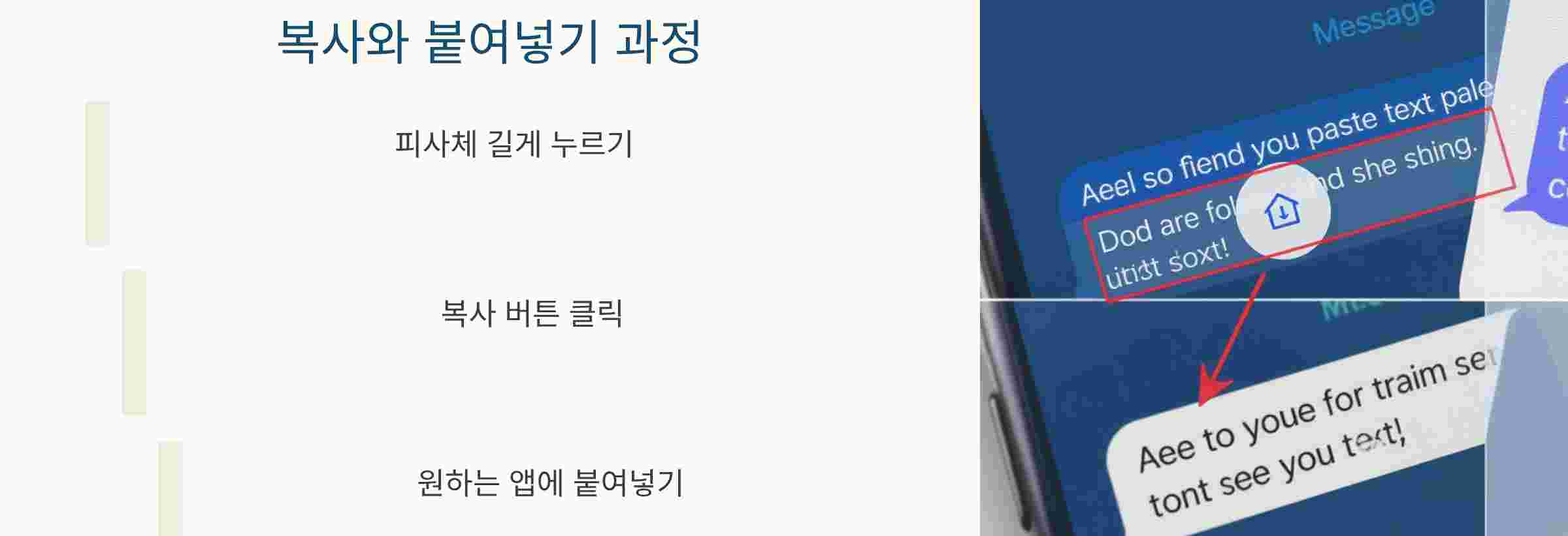 복사넣기