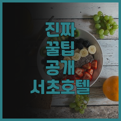 진클루이 호텔 추천! 서초 조식 맛집..