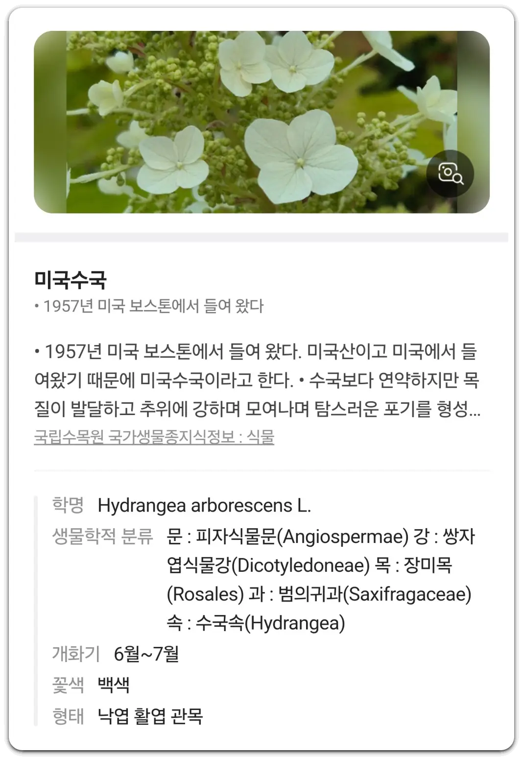 꽃-나무-이름-찾기-검색-방법