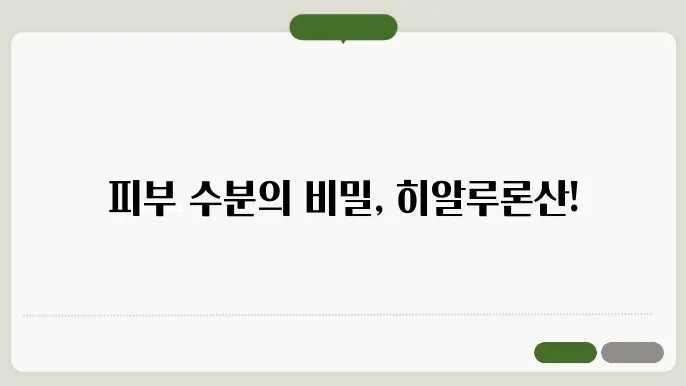 히알루론산 화장품효능