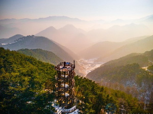 소백산 자연휴양림휴양림