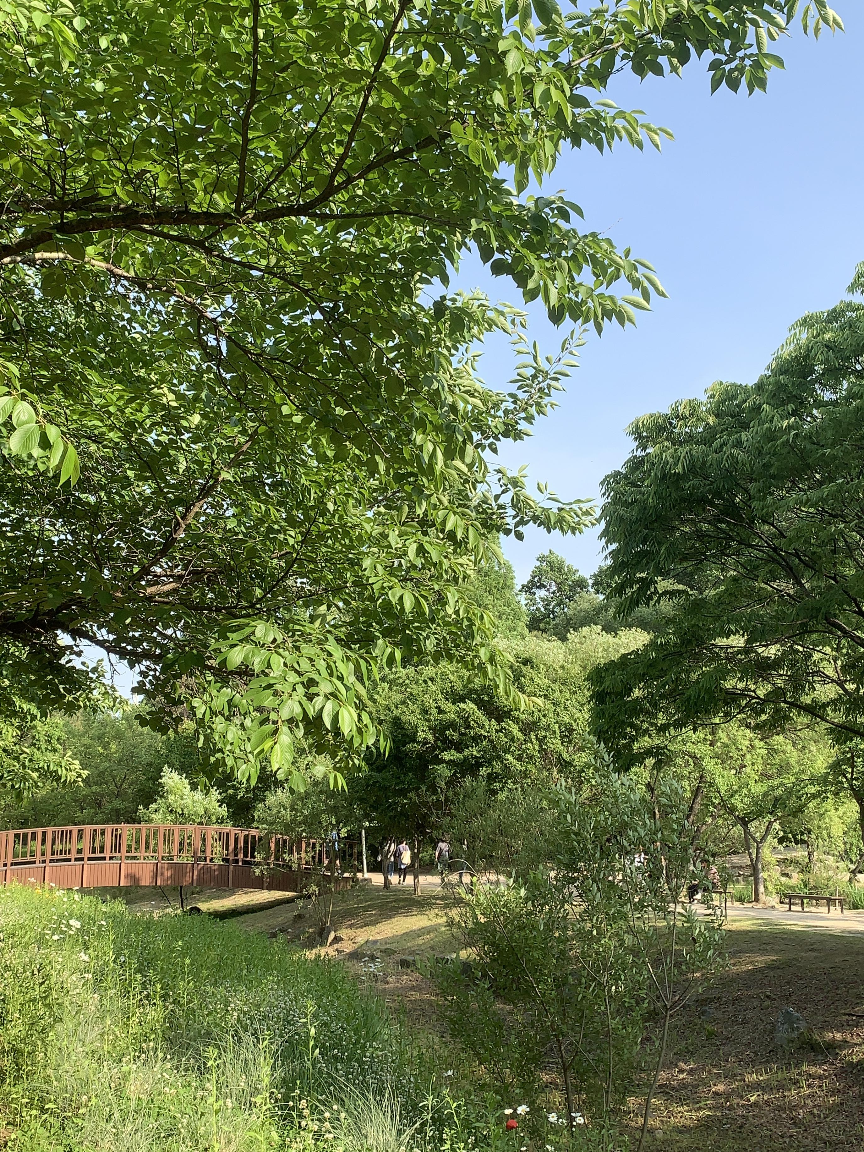 오산 물향기수목원 연못 옆