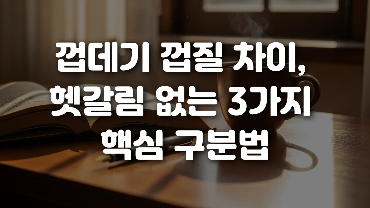 껍데기 껍질 차이 헷갈림 없는 3가지 핵심 구분법