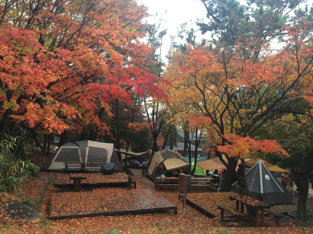 국립공원-야영장-일반야영지