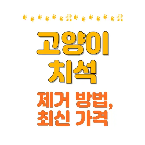고양이 치석 썸네일