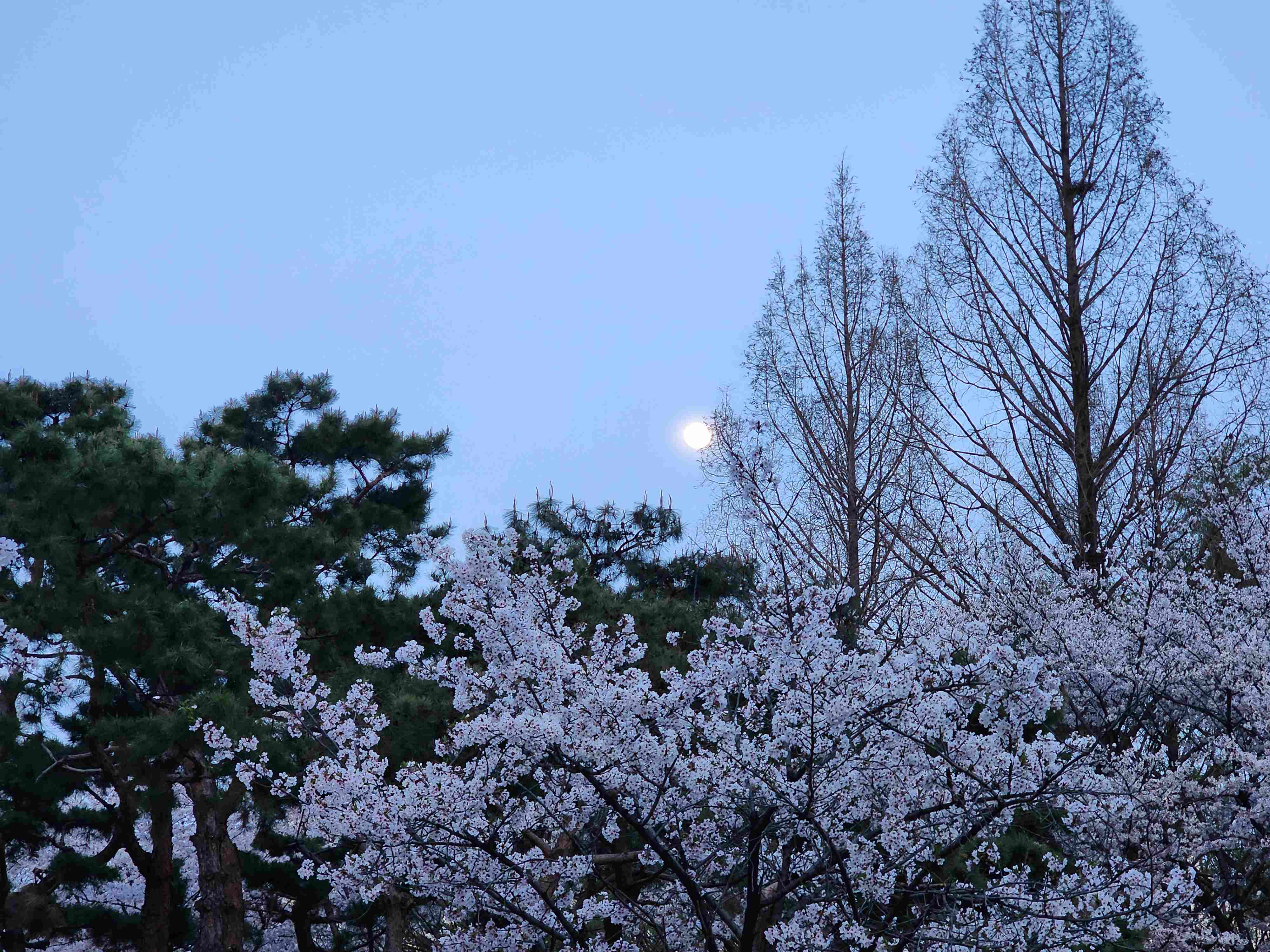 당산공원