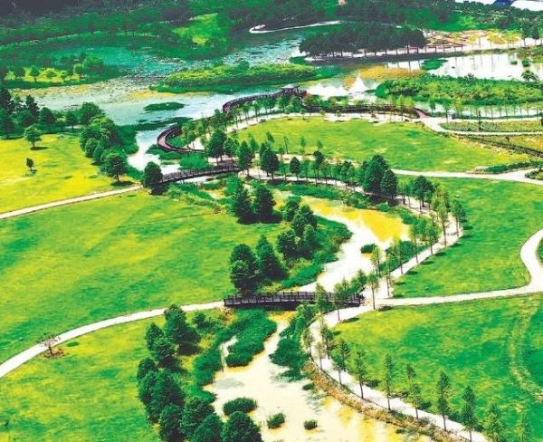 전라도 숨은 여름 여행지 TOP 7-함평 생태습지