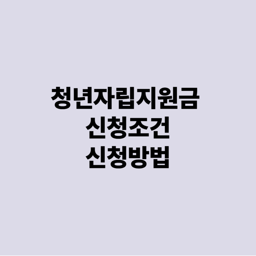 청년자립지원금 신청