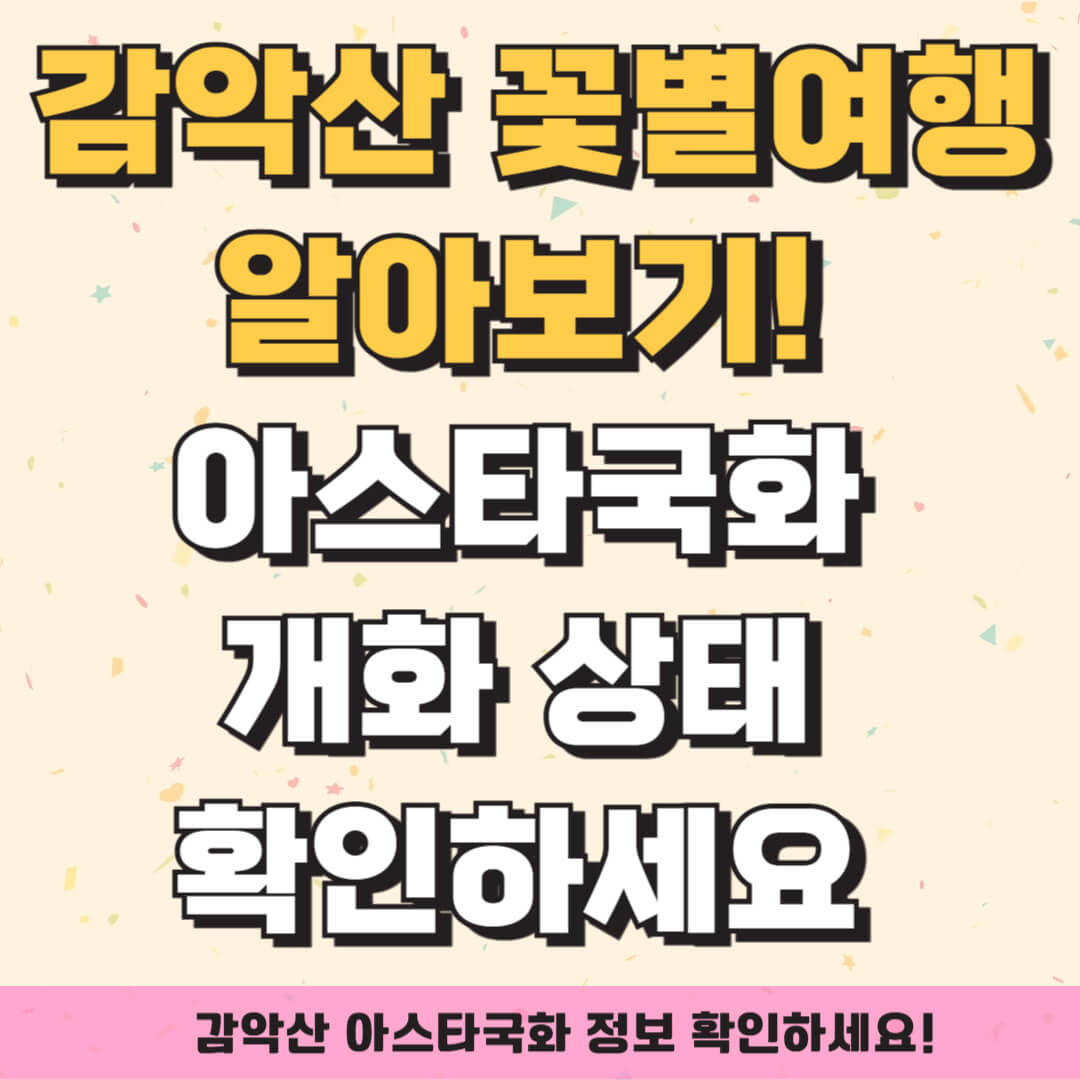 감악산 꽃별여행 알아보기! 감악산 아스타국화 개화 상태 확인하세요 🌸