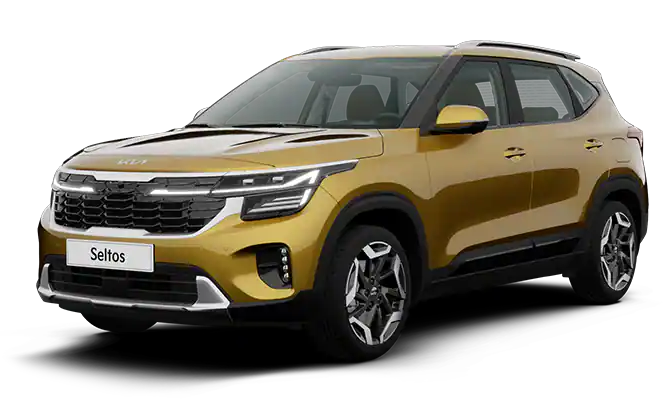 발레 그린(색상 코드 : B4E)