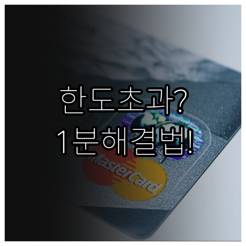 삼성페이 티머니 한도 초과 오류와 한..