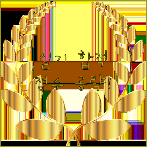 기능장 실기 합격 커트라인 공략과 부..
