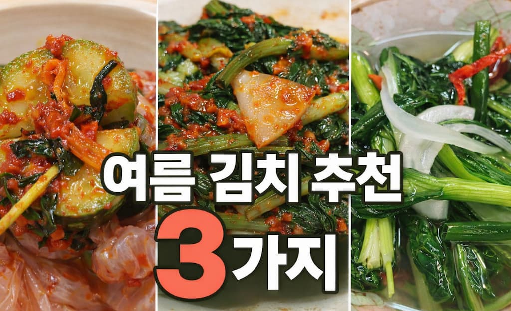 여름 김치 추천 3가지