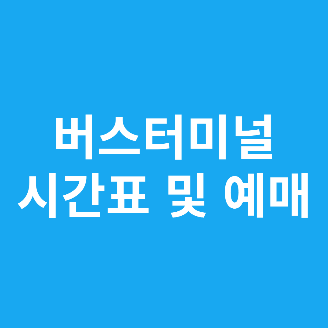 버스터미널 시간표 및 예매