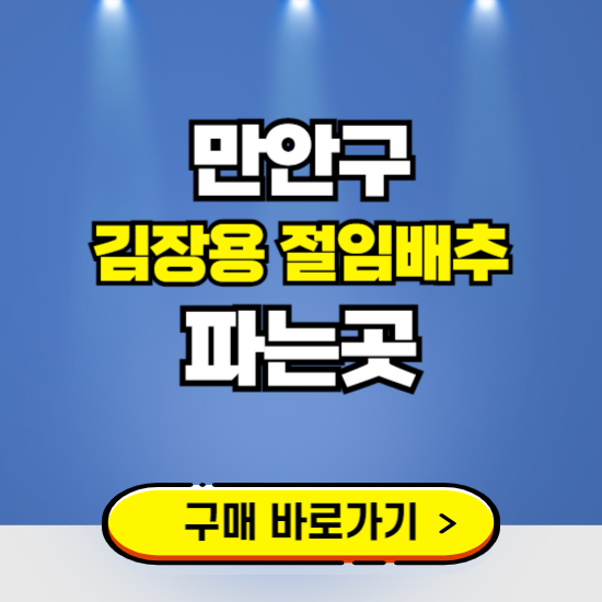 만안구 절임배추 사전예약 구입하는곳 ❘ 김장배추 파는곳 가격보기